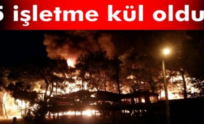 Antalya sosyete pazarında 5 işletme yandı