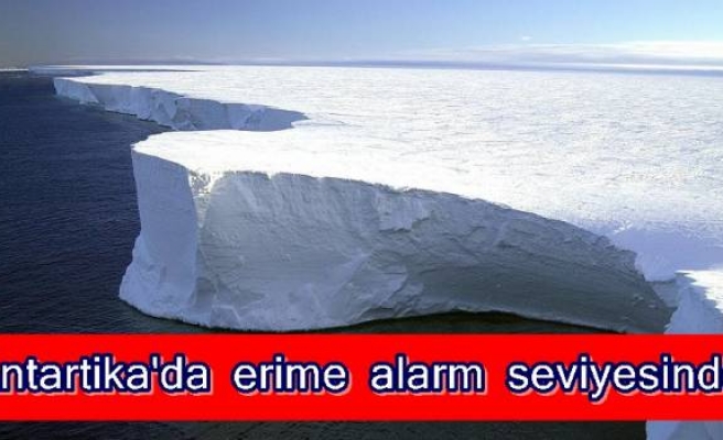 Antartika'da erime alarm seviyesinde