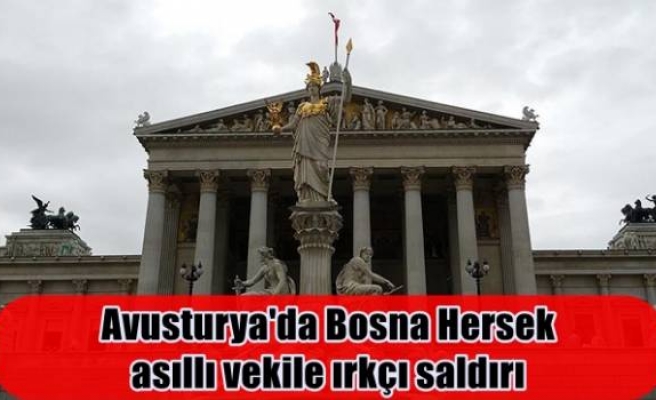 Avusturya'da Bosna Hersek asıllı vekile ırkçı saldırı