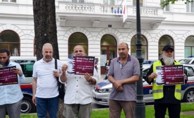 Avusturya'da Katar'a destek gösterisi