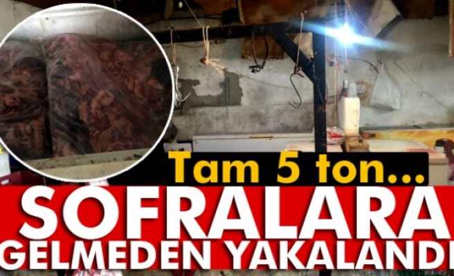 Aydın’da 5 ton kaçak domuz eti ele geçirildi