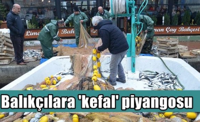 Balıkçılara 'kefal' piyangosu