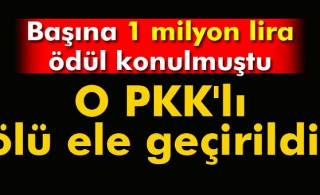 Başına 1 milyon lira ödül konulan PKK'lı ölü ele geçirildi