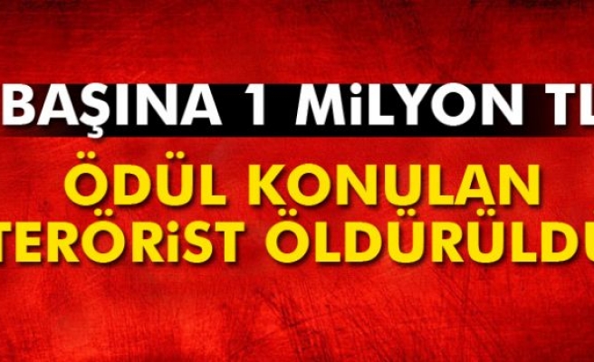 Başına 1 milyon TL ödül konulan terörist Bitlis'te öldürüldü