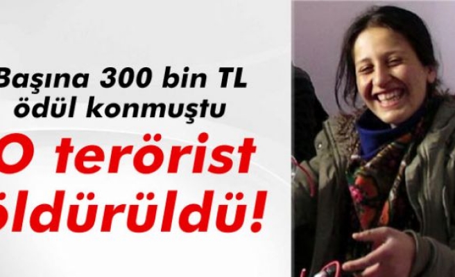 Başına 300 bin TL ödül konulan PKK'lı terörist öldürüldü