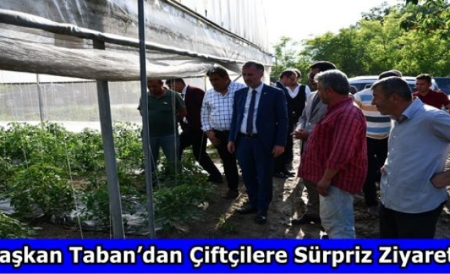 Başkan Taban’dan Çiftçilere Sürpriz Ziyaret	
