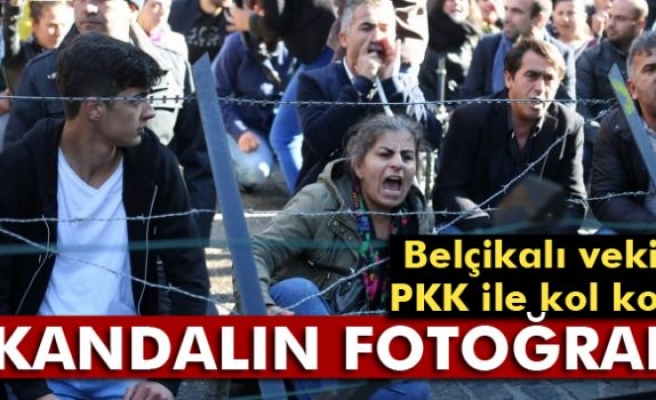 Belçikalı Vekil PKK ile Kol Kola