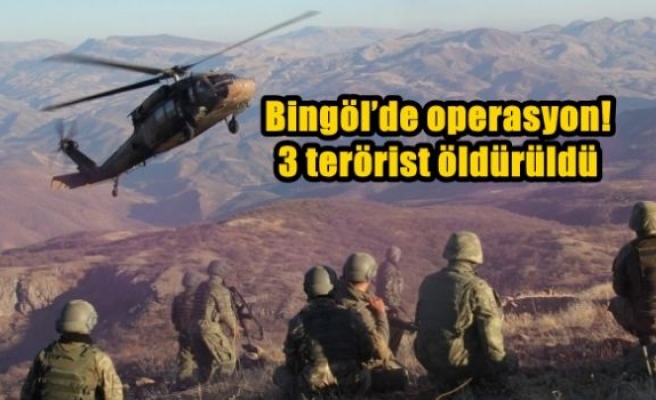 Bingöl’de operasyon! 3 terörist öldürüldü