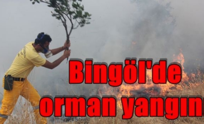 Bingöl'de orman yangını