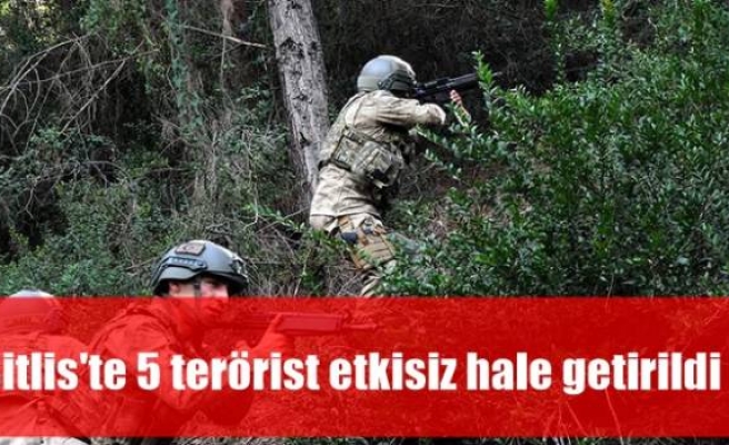 Bitlis'te 5 terörist etkisiz hale getirildi