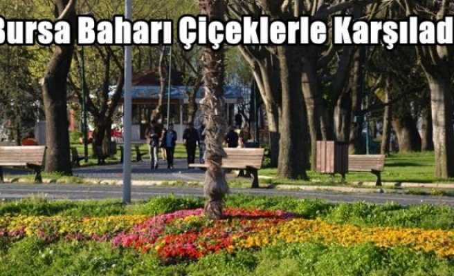 Bursa Baharı Çiçeklerle Karşıladı