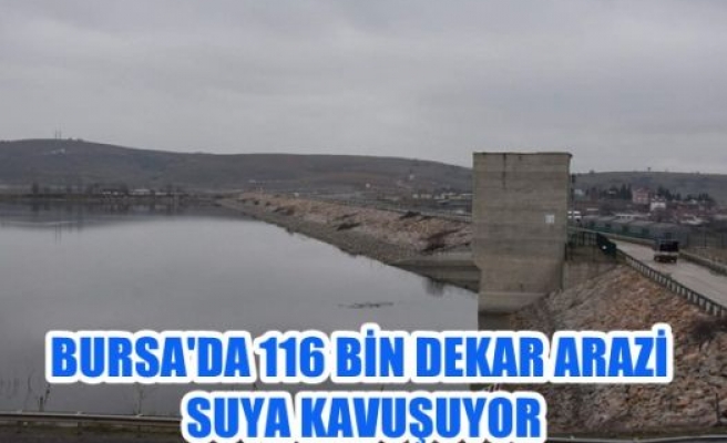 Bursa'da 116 bin dekar arazi suya kavuşuyor