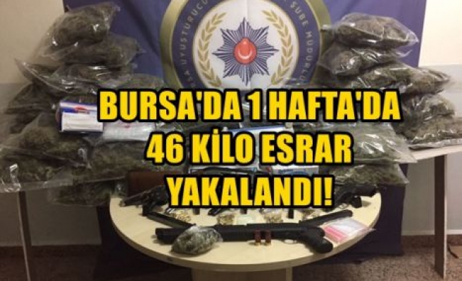 Bursa’da 1 Haftada 46 Kilo Esrar Ele Geçirildi