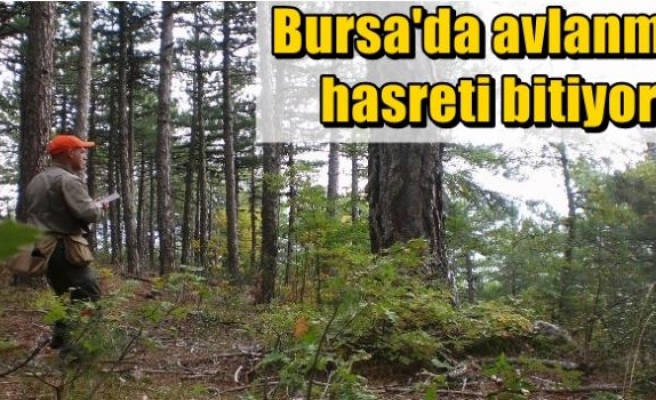 Bursa'da avlanma hasreti bitiyor