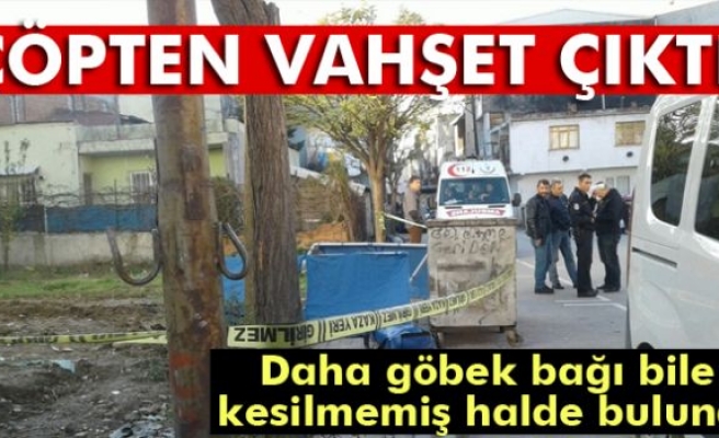 Bursa'da çöpten bebek cesedi çıktı
