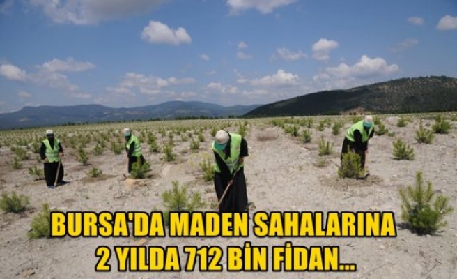 Bursa'da maden sahalarına 2 yılda 712 bin fidan...