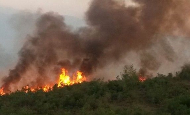 Bursa’da Orman Yangını Büyüyor