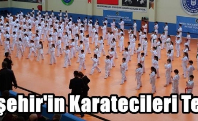 Büyükşehir'in Karatecileri Terfi Etti