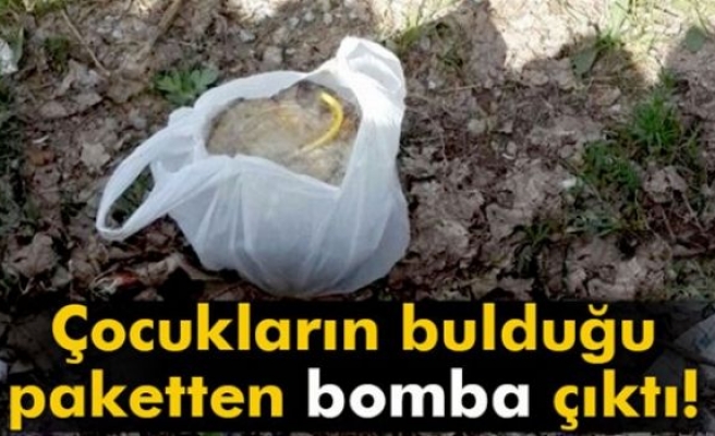 Çocukların bulduğu paketten bomba çıktı