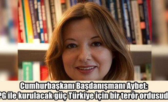 Cumhurbaşkanı Başdanışmanı Aybet: 'YPG ile kurulacak güç Türkiye için bir terör ordusudur'