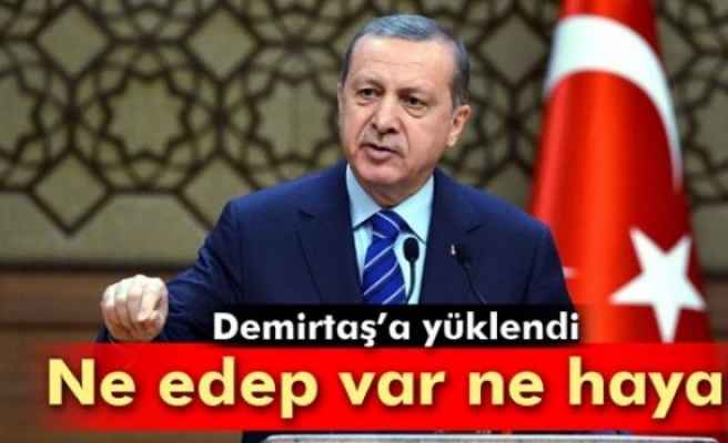 Cumhurbaşkanı Demirtaş'a yüklendi: 'Ne edep var ne haya!'