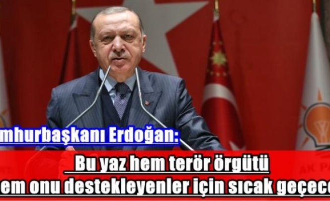 Cumhurbaşkanı Erdoğan: Bu yaz hem terör örgütü hem onu destekleyenler için sıcak geçecek