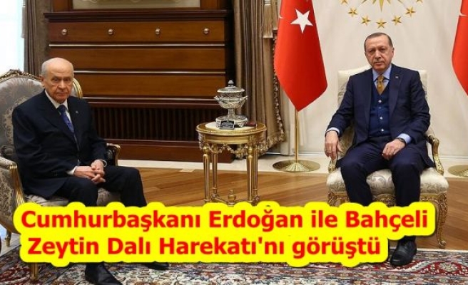 Cumhurbaşkanı Erdoğan ile Bahçeli Zeytin Dalı Harekatı'nı görüştü