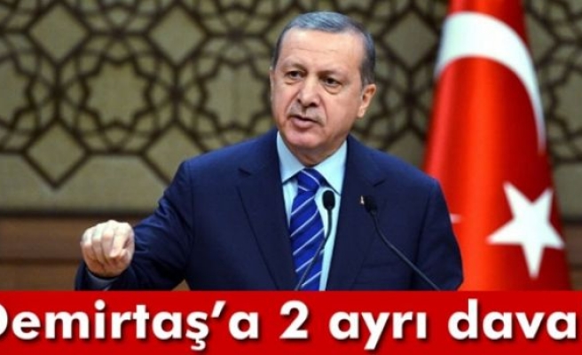 Cumhurbaşkanı Erdoğan'dan Demirtaş'a dava