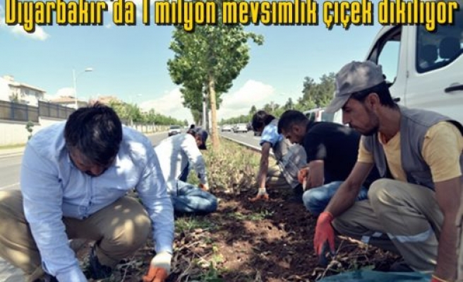 Diyarbakır’da 1 milyon mevsimlik çiçek dikiliyor