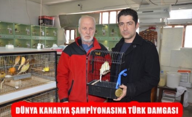 Dünya Kanarya Şampiyonasına Türk Damgası