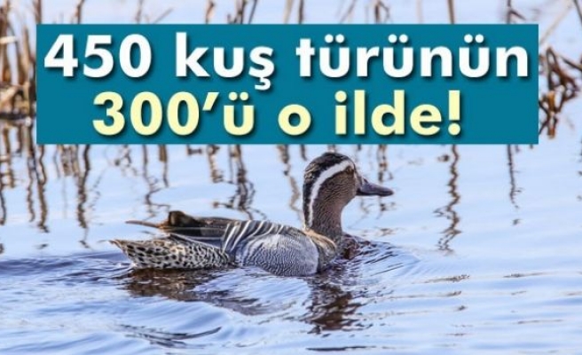 Erçek Gölü Havzası, Türkiye'deki 450 kuş türünün 300'ünü barındırıyor