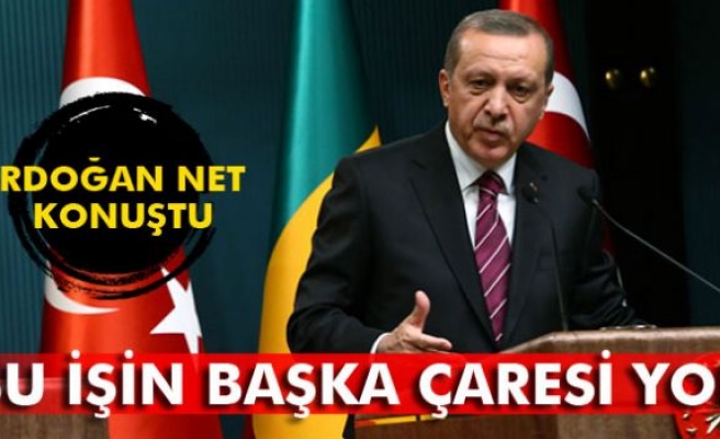 Erdoğan: 'Bu işin başka çaresi yok'