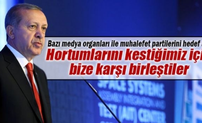 Erdoğan: ’Hortumlarını kestiğimiz için bize karşı birleştiler’