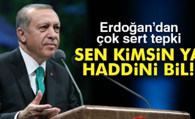 Erdoğan'dan sert tepki: 'Sen kimsin ya! Haddini bil'