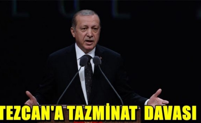 Erdoğan'dan Tezcan'a tazminat davası