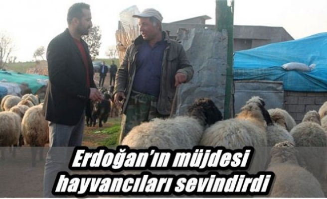 Erdoğan’ın müjdesi hayvancıları sevindirdi