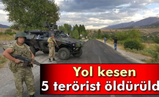 Erzincan’da yol kesen 5 terörist öldürüldü
