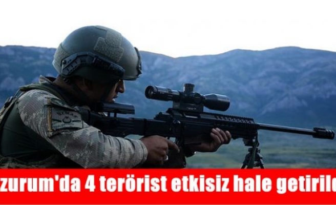 Erzurum'da 4 terörist etkisiz hale getirildi