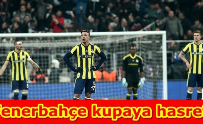 Fenerbahçe kupaya hasret