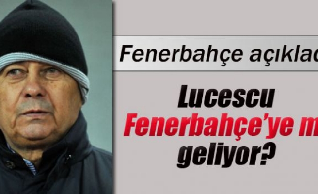 Fenerbahçe'den Lucescu yalanlaması