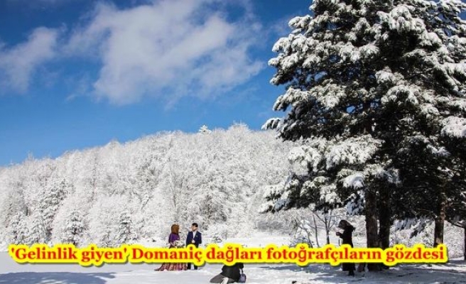 'Gelinlik giyen' Domaniç dağları fotoğrafçıların gözdesi