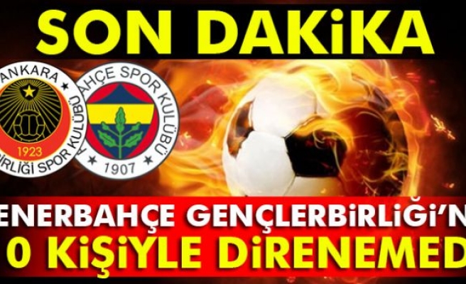 Gençlerbirliği 2-2 Fenerbahçe Türkiye Kupası maçı 