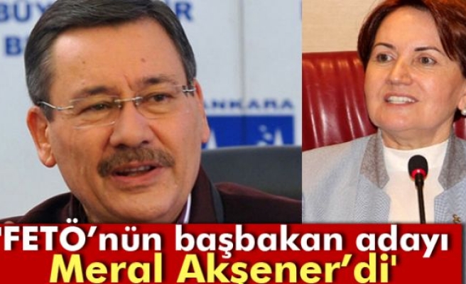Gökçek: 'FETÖ’nün başbakan adayı Meral Akşener’di'