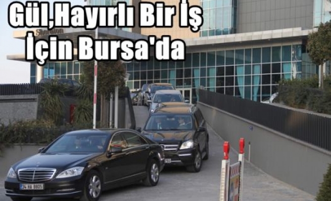 Gül,Hayırlı Bir İş İçin Bursa'da