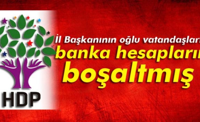 HDP İl Başkanının Oğlu Yurt Dışındaki Vatandaşların Banka Hesaplarını Boşaltmış