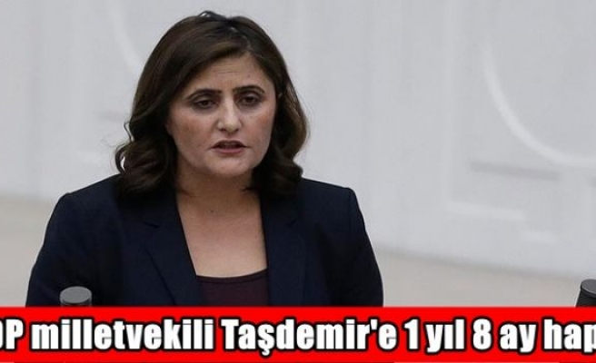 HDP milletvekili Taşdemir'e 1 yıl 8 ay hapis