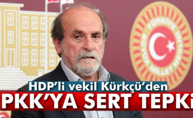 HDP'li Ertuğrul Kürkçü'den PKK'ya tepki