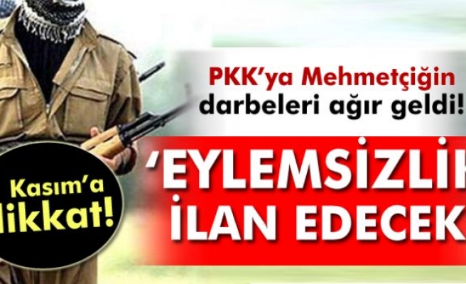HDP'li vekil açıkladı: 'PKK eylemsizlik ilan edecek'