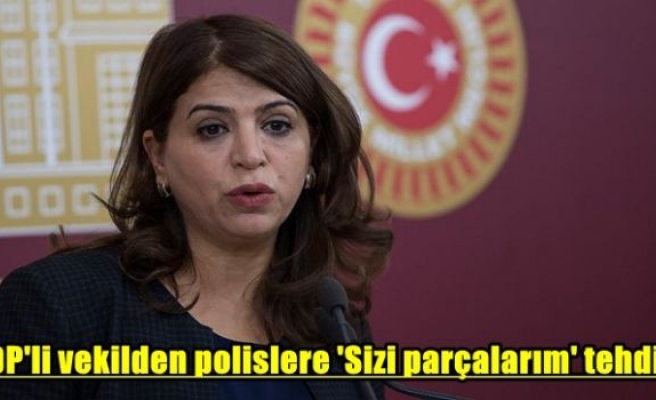 HDP'li vekilden polislere 'Sizi parçalarım' tehdidi