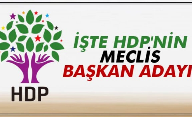 HDP'nin Meclis Başkan adayı Dengir Mir Mehmet Fırat!